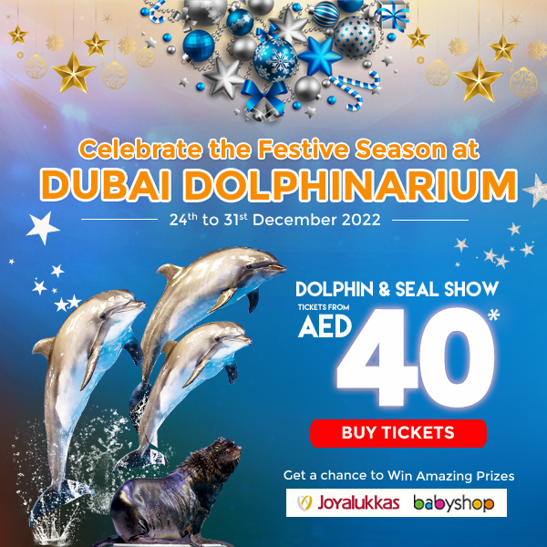 Dubai Dolphinarium Festive Offers and Deals